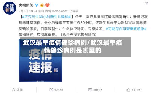 武汉最早疫情确诊病例/武汉最早疫情确诊病例是哪里的