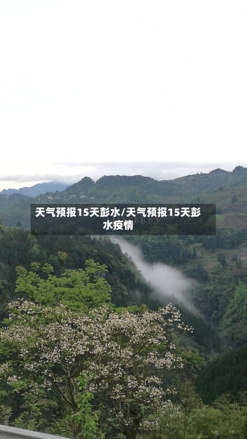 天气预报15天彭水/天气预报15天彭水疫情