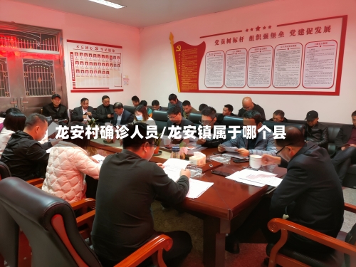 龙安村确诊人员/龙安镇属于哪个县