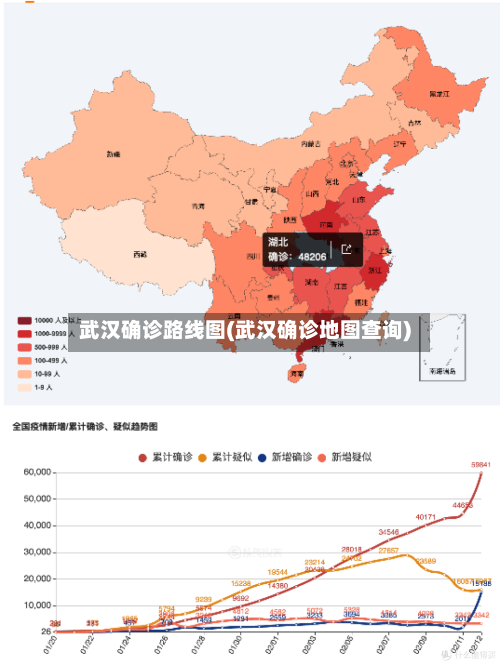 武汉确诊路线图(武汉确诊地图查询)