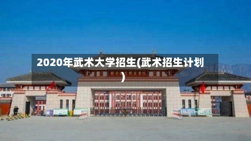 2020年武术大学招生(武术招生计划)