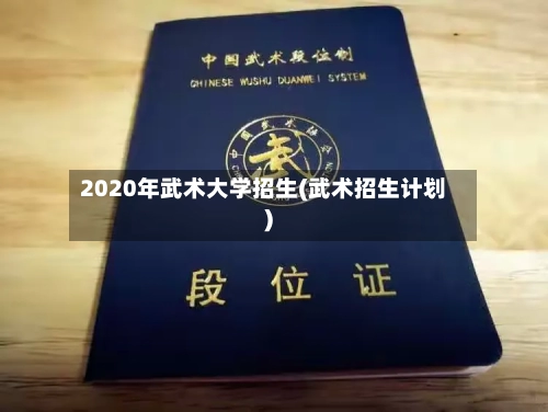 2020年武术大学招生(武术招生计划)
