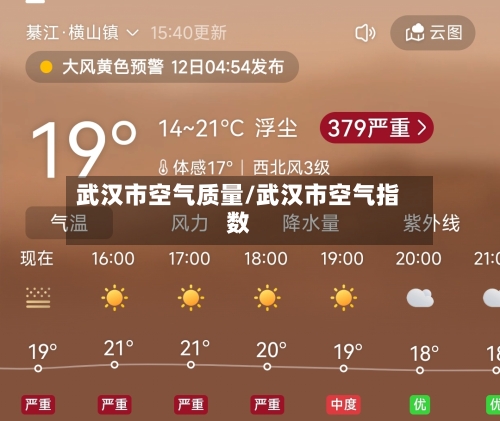 武汉市空气质量/武汉市空气指数