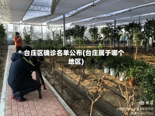 台庄区确诊名单公布(台庄属于哪个地区)