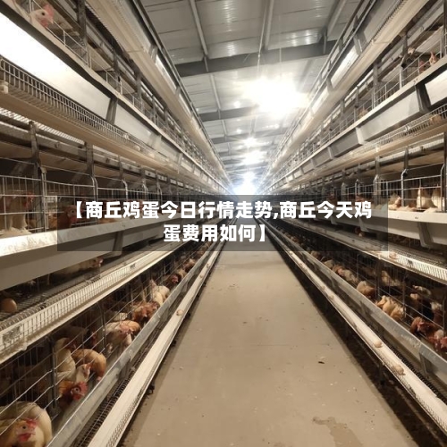 【商丘鸡蛋今日行情走势,商丘今天鸡蛋费用如何】