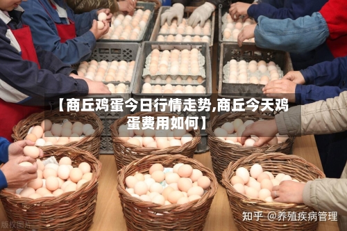 【商丘鸡蛋今日行情走势,商丘今天鸡蛋费用如何】