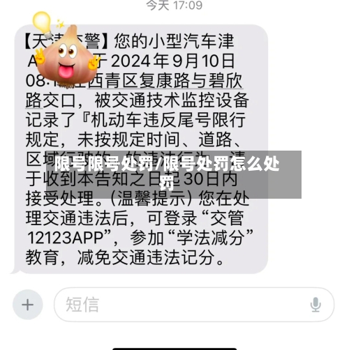 限号限号处罚/限号处罚怎么处罚