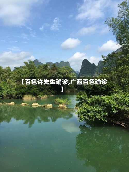 【百色许先生确诊,广西百色确诊】