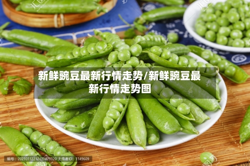 新鲜豌豆最新行情走势/新鲜豌豆最新行情走势图