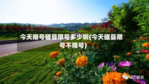 今天限号磁县限号多少啊(今天磁县限号不限号)