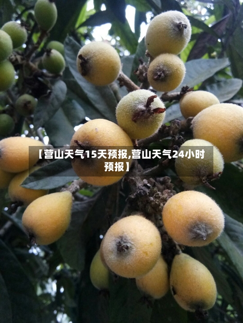 【营山天气15天预报,营山天气24小时预报】