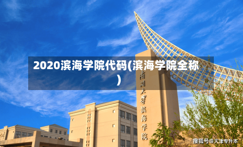 2020滨海学院代码(滨海学院全称)