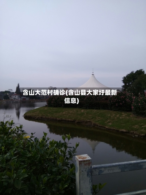 含山大范村确诊(含山县大家圩最新信息)