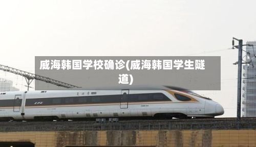 威海韩国学校确诊(威海韩国学生隧道)