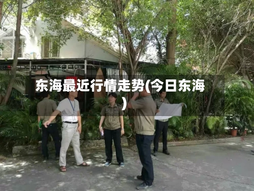 东海最近行情走势(今日东海)