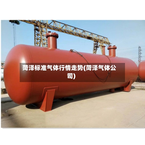 菏泽标准气体行情走势(菏泽气体公司)