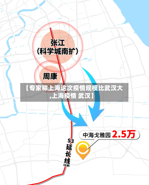 【专家称上海这次疫情规模比武汉大,上海疫情 武汉】