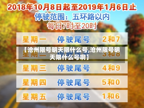 【沧州限号明天限什么号,沧州限号明天限什么号啊】