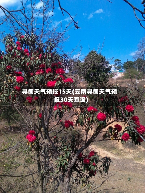 寻甸天气预报15天(云南寻甸天气预报30天查询)