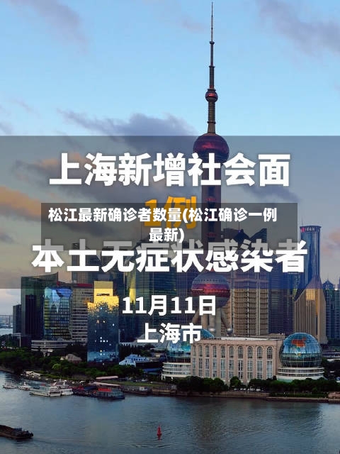 松江最新确诊者数量(松江确诊一例最新)