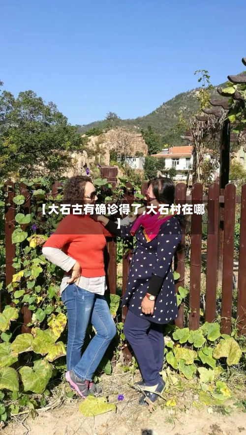 【大石古有确诊得了,大石村在哪】
