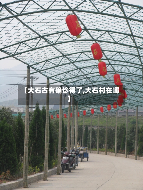 【大石古有确诊得了,大石村在哪】