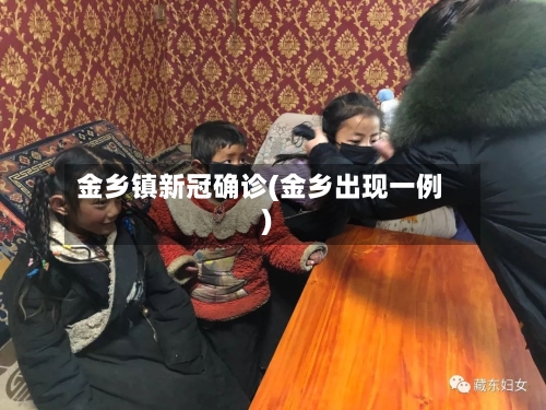 金乡镇新冠确诊(金乡出现一例)