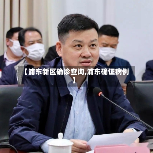 【浦东新区确诊查询,浦东确证病例】