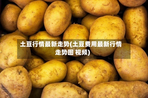 土豆行情最新走势(土豆费用最新行情走势图 视频)