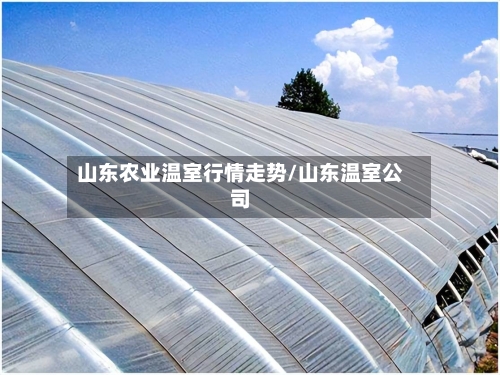 山东农业温室行情走势/山东温室公司