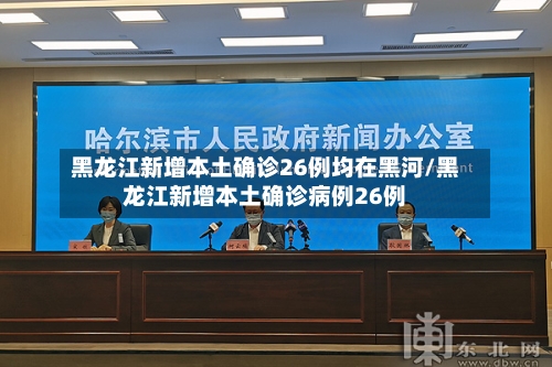 黑龙江新增本土确诊26例均在黑河/黑龙江新增本土确诊病例26例