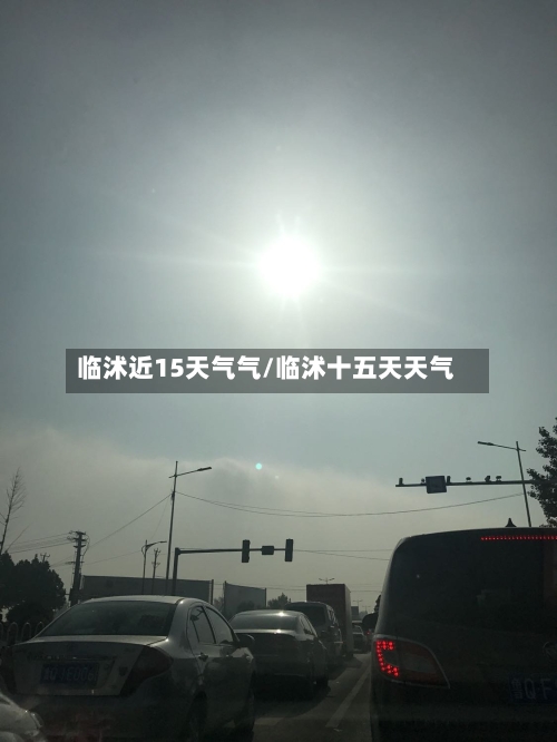 临沭近15天气气/临沭十五天天气