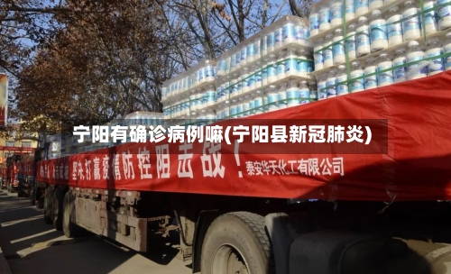 宁阳有确诊病例嘛(宁阳县新冠肺炎)