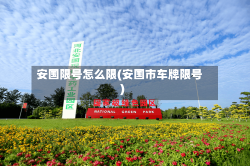 安国限号怎么限(安国市车牌限号)