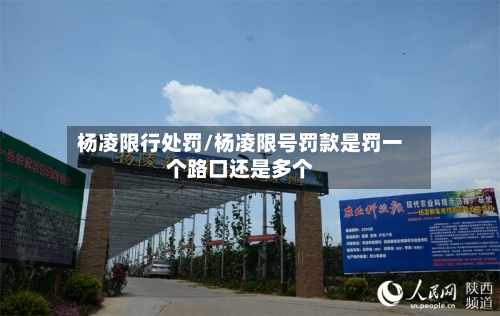 杨凌限行处罚/杨凌限号罚款是罚一个路口还是多个