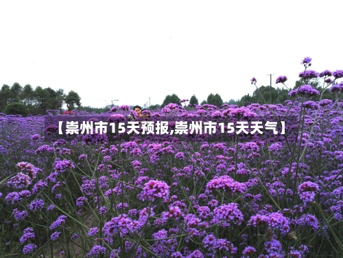 【崇州市15天预报,崇州市15天天气】