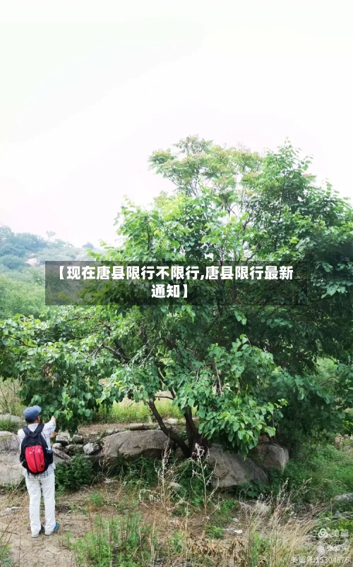 【现在唐县限行不限行,唐县限行最新通知】