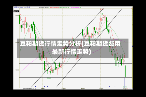 豆粕期货行情走势分析(豆粕期货费用最新行情走势)