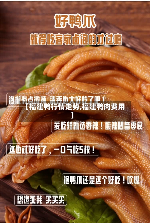 【福建鸭行情走势,福建鸭肉费用】