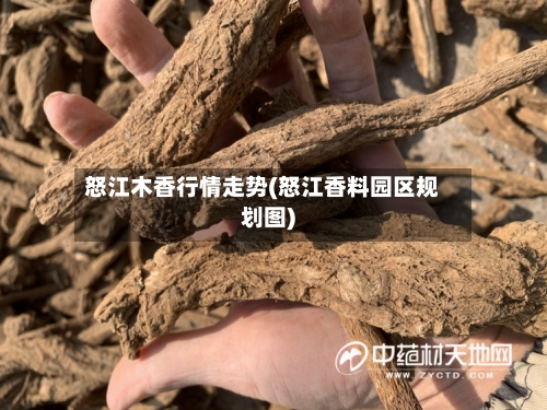 怒江木香行情走势(怒江香料园区规划图)