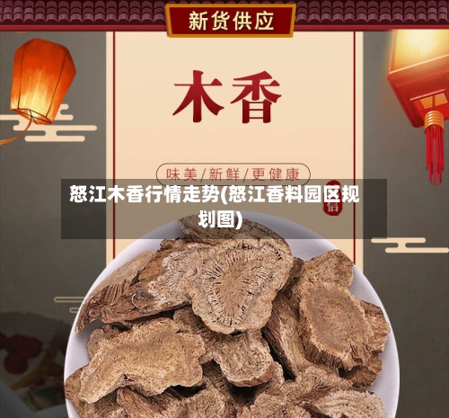 怒江木香行情走势(怒江香料园区规划图)