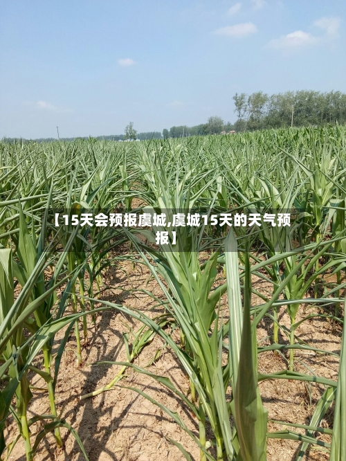 【15天会预报虞城,虞城15天的天气预报】
