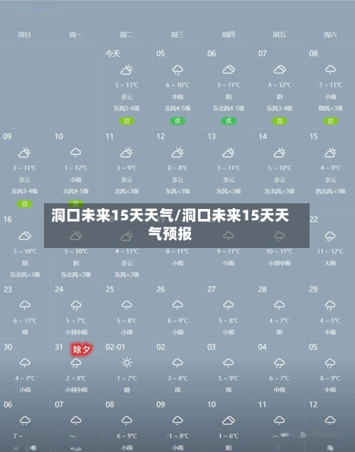 洞口未来15天天气/洞口未来15天天气预报