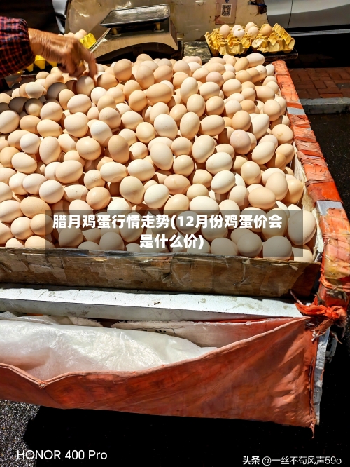 腊月鸡蛋行情走势(12月份鸡蛋价会是什么价)
