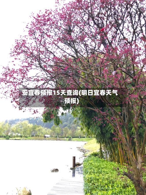 安宜春预报15天查询(明日宜春天气预报)