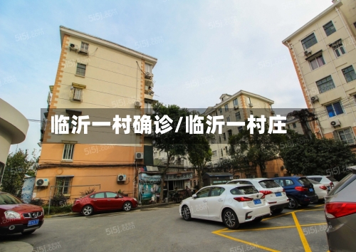 临沂一村确诊/临沂一村庄