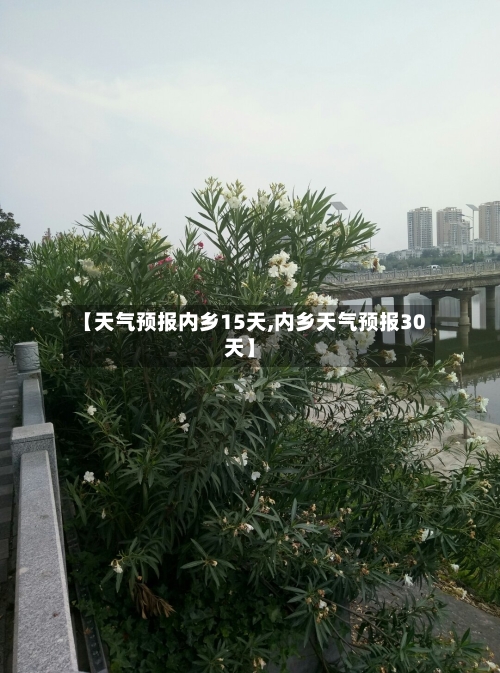 【天气预报内乡15天,内乡天气预报30天】