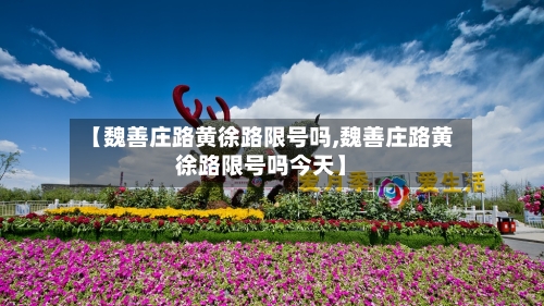 【魏善庄路黄徐路限号吗,魏善庄路黄徐路限号吗今天】