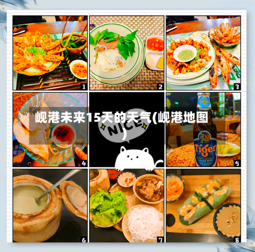 岘港未来15天的天气(岘港地图)