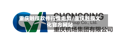 重庆触摸软件行情走势/重庆触摸文化官方网站